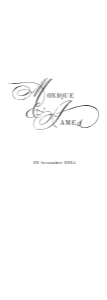 SIZE 3: Fabric Sign | Swan Lake Design: Size 3 Linen Sign - Welcome - Swan Lake Design