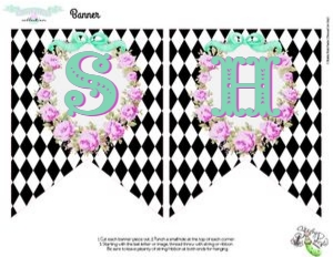 Here's The Scoop, Baby-Banner Pieces design preview