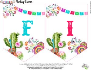 Fiesta-BANNER: Fiesta-FULL PARTY COLLECTION