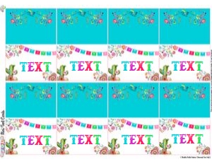 Fiesta-MARGARITA-TENT: Fiesta-MARGARITA SET