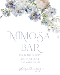 B011 Mimosa Bar Sign 8x10: B011 Bridal Shower Bundle