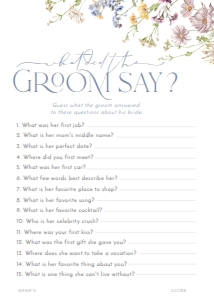 B031 Bridal Shower Games: B031 Bridal Shower Bundle