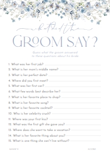 B051 Bridal Shower Games: B051 Bridal Shower Bundle