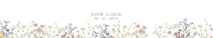 D026 Belly Band 11x2: D026 Wedding Suite