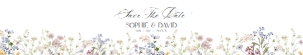 D029 Belly Band 11x2: D029 Wedding Bundle
