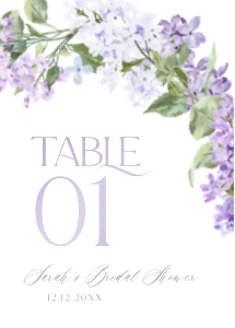 B048 Bridal Shower Bundle design preview