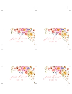 B066 Place Card for Avery5302 8.5x11 Sheet: B066 Custom Sign