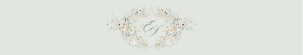 D034 Belly Band 11x2: D034 Wedding Suite