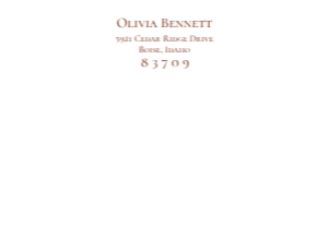 E069 Back Address Envelope A7: E069 Wedding Bundle