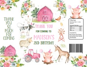 F102 - Farm chip bag: F102-Party Package