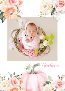PB102 - Pumpkin monthly banner: PB102 - Pumpkin monthly banner