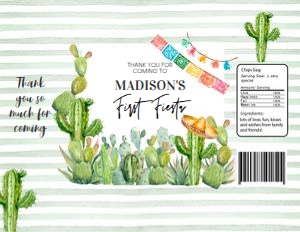 FT101 - Fiesta chip bag: FT101 - Fiesta chip bag