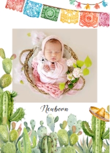 FT101 - Fiesta monthly banner: FT101 - Fiesta monthly banner