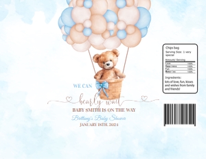 T101 - Teddy bear chip bag: T101 - Teddy bear chip bag