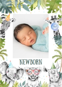 S105 - Safari birthday monthly banner: S105 - Safari birthday monthly banner