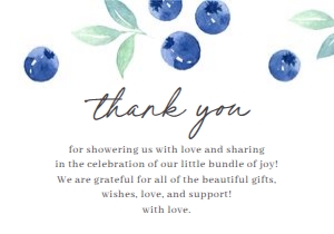BS_Blueberry_001_Thanks & Display design preview