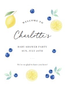 BS_Blueberry Lemon_001_Welcome set design preview
