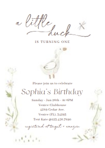 BD_Duck_001_Invitation set design preview