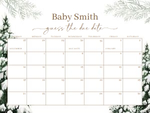 BS_Winter_001_Calendar due date 24x18 design preview