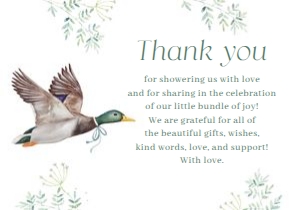 BS_New Mallard_001_Thanks & Display design preview