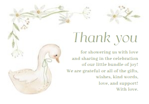 BS_Goose_001_Thanks & Display design preview