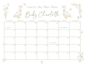 BS_Goose_001_Calendar due date 24x18 design preview