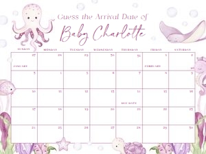 BS_Ocean Pink_001_Calendar due date 24x18 design preview
