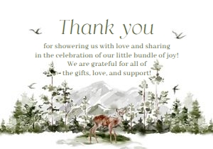 BS_Adventure_001_Thanks & Display design preview