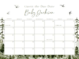 BS_Adventure_001_Calendar due date 24x18 design preview
