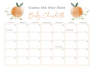BS_Little Cutie_003_Calendar due date 24x18 design preview