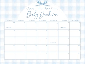 BS_Gingham Blue_001_Calendar due date 24x18 design preview