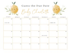 BS_Lemon_002_Calendar due date 24x18 design preview