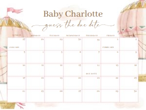 BS_Hot air Balloon Pink_001_Calendar due date 24x18 design preview