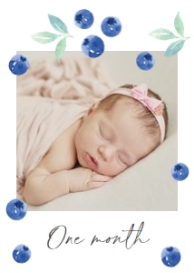 BD_Blueberry_001_3 Photo Banners design preview