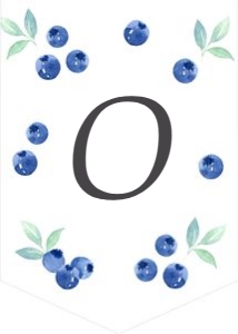 BD_Blueberry_001_ONE Highchair Banners design preview