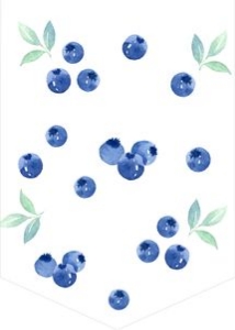 BD_Blueberry_001_HBD Garlands design preview