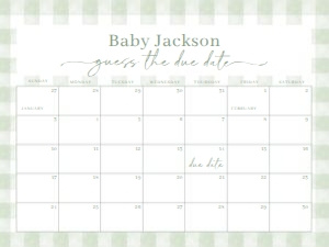 BS_Gingham Sage Green_001_Calendar due date 24x18 design preview