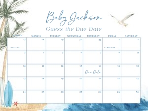 BS_Baby on Board_001_Calendar due date 24x18 design preview