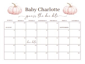 BS_Pumpkin Pink_002_Calendar due date 24x18 design preview
