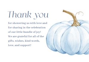 BS_Pumpkin Blue_002_Thanks & Display design preview