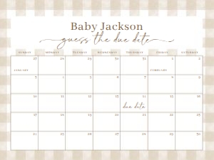 BS_Gingham Brown_001_Calendar due date 24x18 design preview
