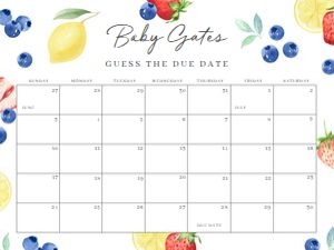 BS_Blueberry Lemon Strawberry_001_Calendar due date 24x18 design preview