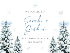 BS_Winter Blue_001_Vinyl Banner 24x18 design preview