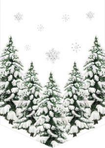 BD_Winter Onederland_001_HBD Garlands design preview