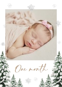 BD_Winter Onederland_001_3 Photo Banners design preview