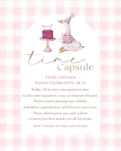 BD_Silly Goose Pink_001_Time Capsule Set design preview