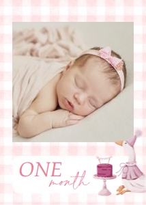 BD_Silly Goose Pink_001_12 Photo Banners design preview