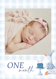 BD_Silly Goose Blue_002_3 Photo Banners design preview