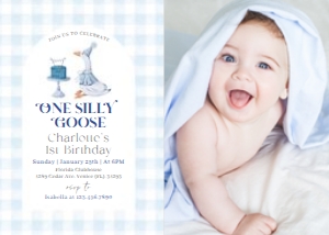 BD_Silly Goose Blue_002_Bundle design preview