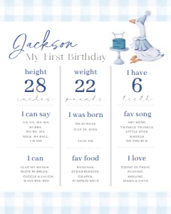 BD_Silly Goose Blue_002_Milestone Set design preview